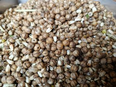 Flachskapseln mit Kardikernen 120g Mischfutter